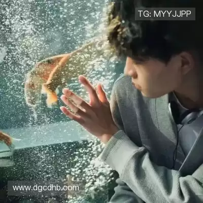朱晶丹